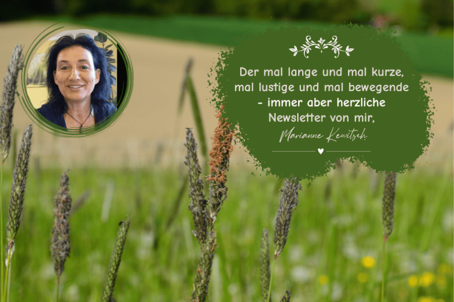 Newsletterteaser mit Portrait von Marianne und Gräserwiese