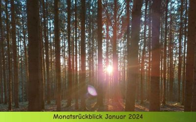 Monatsrückblick Januar 2024: Entschieden, vertrauensvoll und positiv in dieses besondere Jahr