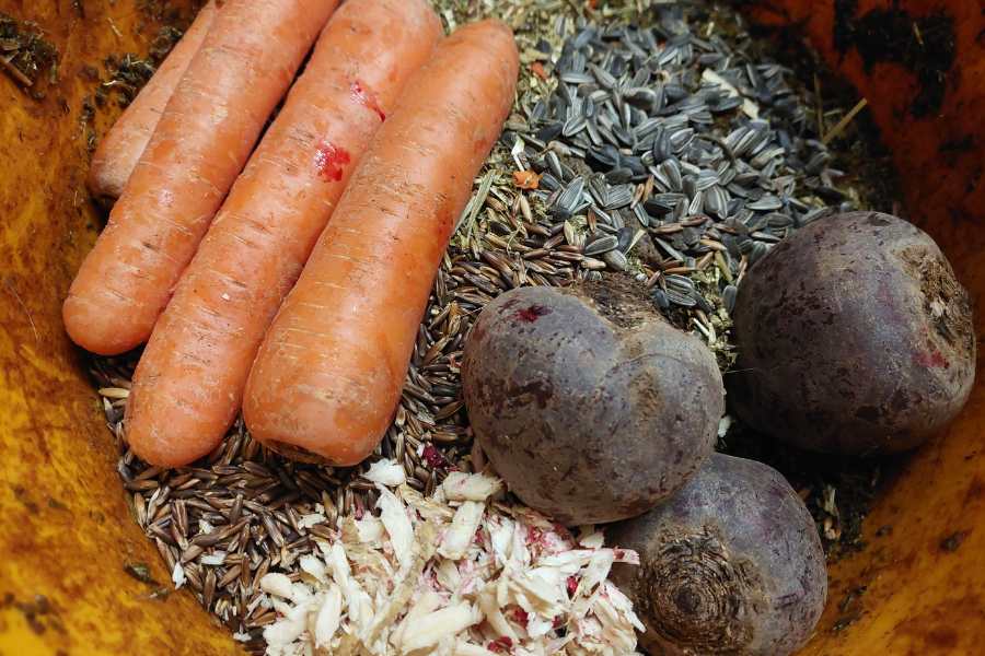 Müslischüssel für die Tiere mit Karotten, Sonnenblumenkerne, Rote Beete, Hafer, Kräutermash und Meerrettich