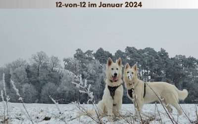 Mein 12. Januar 2024