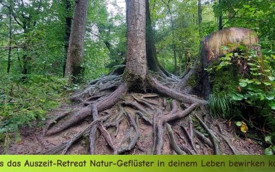 Die heilende Kraft der Natur: Was das Auszeit-Retreat „Natur-Geflüster“ in deinem Leben bewirken kann