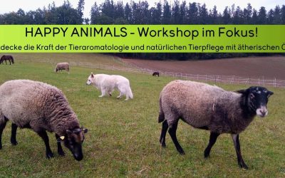 HAPPY ANIMALS Workshop im Fokus! – Entdecke die Kraft der Tieraromatologie und natürlichen Tierpflege mit ätherischen Ölen
