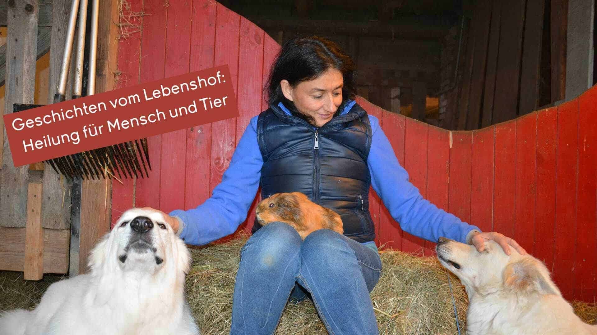 Marianne mit einem Meerschweinchen auf dem Schoß und links und rechts ein Hund