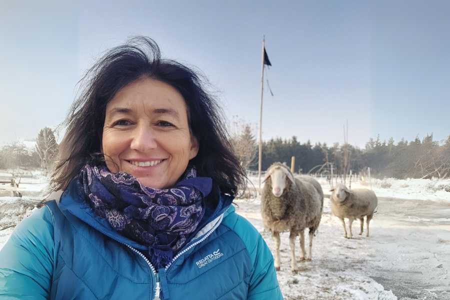 Marianne und Schafe auf Koppel