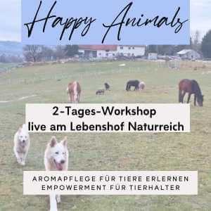 Der Teaser für den Happy Animal Workshop