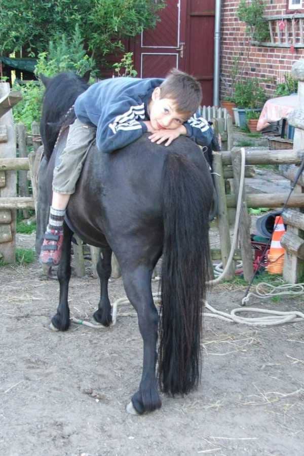 Die Geschichten vom Lebenshof zeigen, wie wie die Tiere Vertrauen zu Menschen gewinnen. Hier Merlin rückwärts liegend auf Pony Pedi