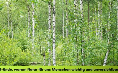 15 Gründe, warum Natur für uns Menschen wichtig und unverzichtbar ist