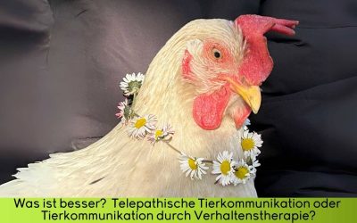 Telepathische Tierkommunikation oder Tierkommunikation durch Verhaltenstherapie? Was ist besser?