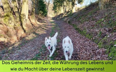 Das Geheimnis der Zeit und wie du Macht über deine Lebenszeit gewinnst