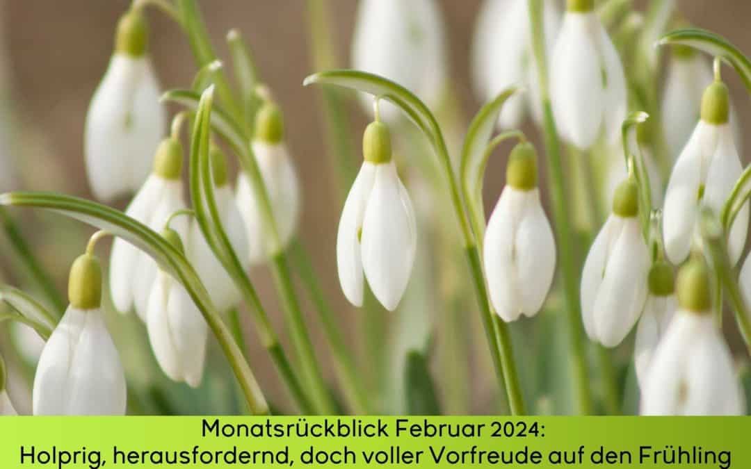 Monatsrückblick Februar 2024: Stolpersteine, Herausforderungen und auch Vorfreude auf den Frühling