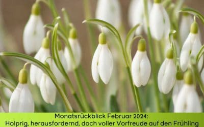 Monatsrückblick Februar 2024: Stolpersteine, Herausforderungen und auch Vorfreude auf den Frühling