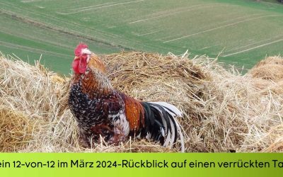 Mein 12-von-12 im März 2024-Rückblick auf einen verrückten Tag!