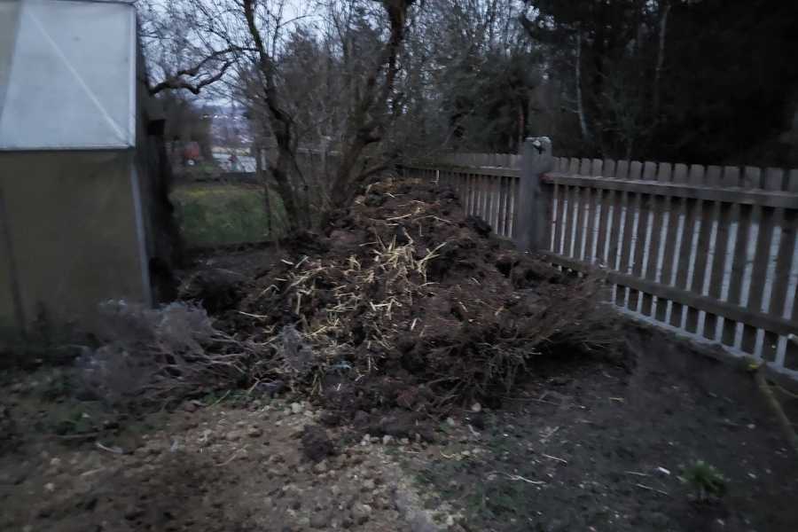 3 Schaufeln Mist wurden mit dem Teleskoplader von aussen im Bauerngarten abgekippt, um damit den Boden im Garten aufzubessern. Der Rückblick auf den Tag sagt mir, es war too much heute.