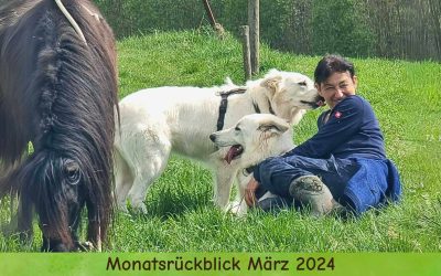 Monatsrückblick März 2024