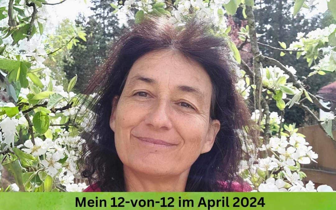 Mein 12-von-12 Rückblick im April 2024