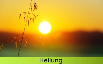 Heilung – Den Dschungel Tausender Methoden durchdringen und zur eigenen Heilwerdung finden.