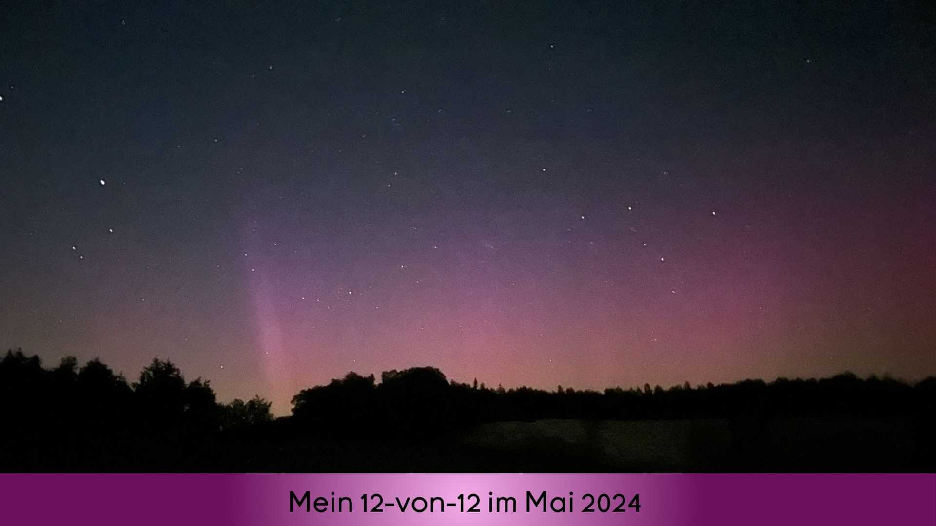 Nordlichter über der Pferdekoppel