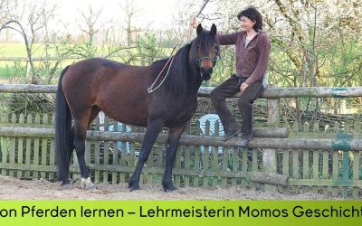 Von Pferden lernen – Lehrmeisterin Momos Geschichte