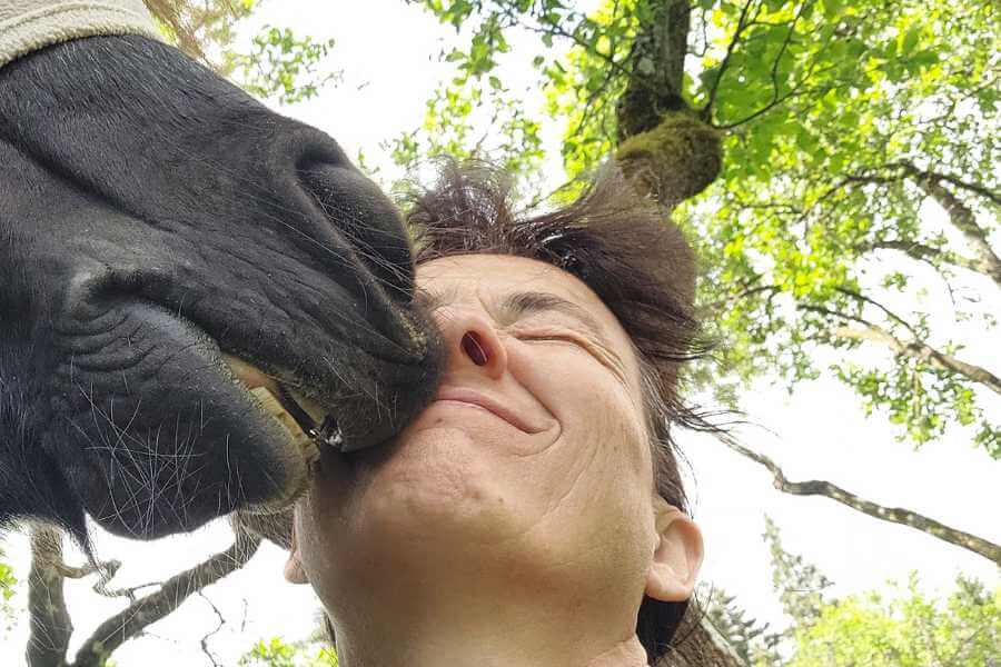 Das Pony Pedi überrascht Marianne, die im Gras sitzt unter einem Baum und kuschelt mit ihr. Sie knubbelt in ihrem Gesicht.