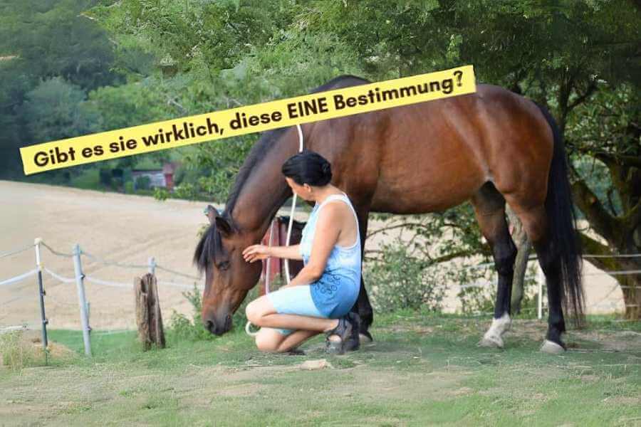 Das ehemalige Beitragsbild des ersten Blogartikels zum 1. Geburtstag des Blogs.  Hier kniet Marianne neben einem braunen Pferd und streichelt es behutsam.