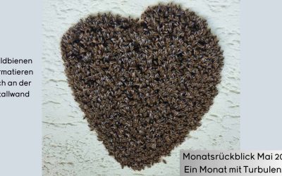 Monatsrückblick Mai 2024: Ein Monat mit Turbulenzen