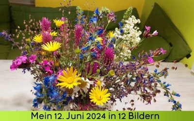 12 von 12 im Juni 2024
