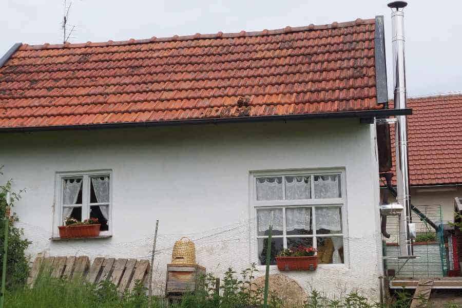 Das Seminarhaus von der Rückseite. Dort sind die Bienen jetzt untergebracht in einem Holzkasten und einem Bienenkorb