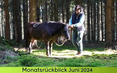 Monatsrückblick Juni 2024 – viel zu spät und der wohl kürzeste „Morübli“ aller Zeiten