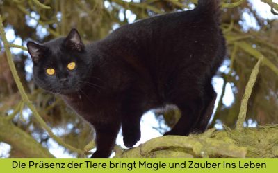 Die Präsenz der Tiere bringt Magie und Zauber ins Leben