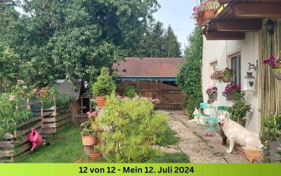 12 von 12 im Juli 2024
