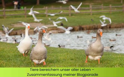 Tiere bereichern unser aller Leben – Zusammenfassung meiner Blogparade