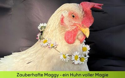 Zauberhafte Maggy – ein Huhn voller Magie