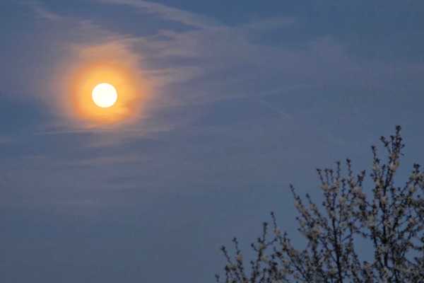 Der Vollmond am Nachthimmel