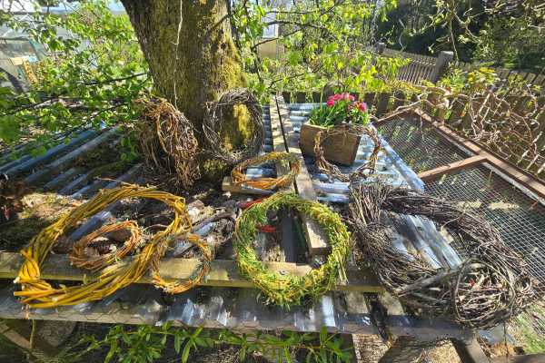 12 Rohlinge für Türkränze liegen unter einem Baum