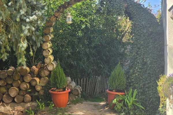 Vor dem Mondtor im Garten stehen zwei frisch gepflanzte  Zuckerhutbäume