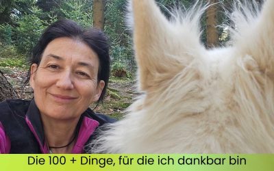 Die 100 + Dinge, für die ich dankbar bin