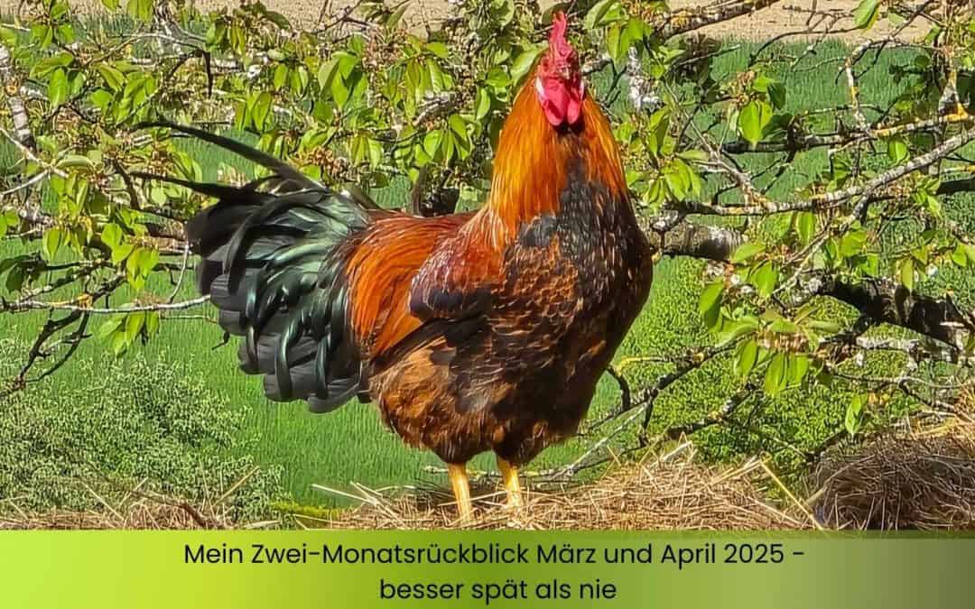 Mein Monatsrückblick auf März und April 2025 – besser spät als nie