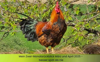 Mein Monatsrückblick auf März und April 2025 – besser spät als nie